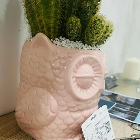 Διαμέρισμα Gevihome *